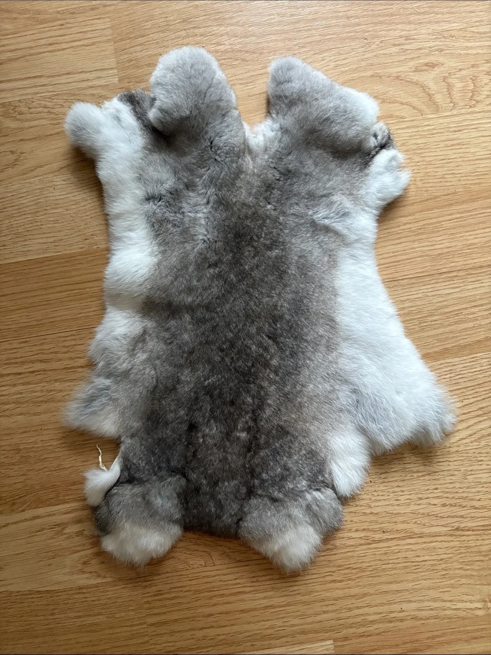 c0072 Rex rabbit hide craft material